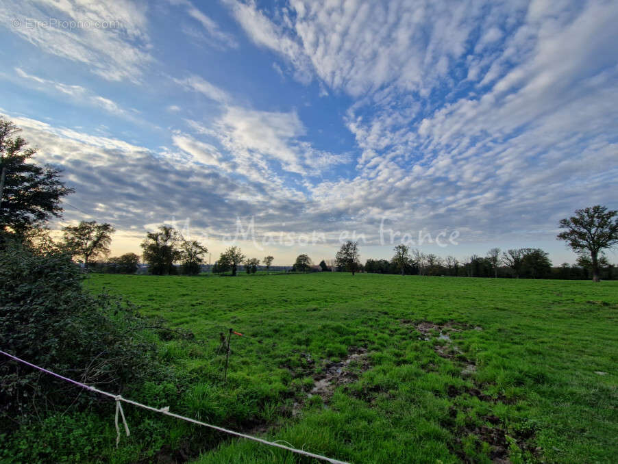 Terrain à MURAT