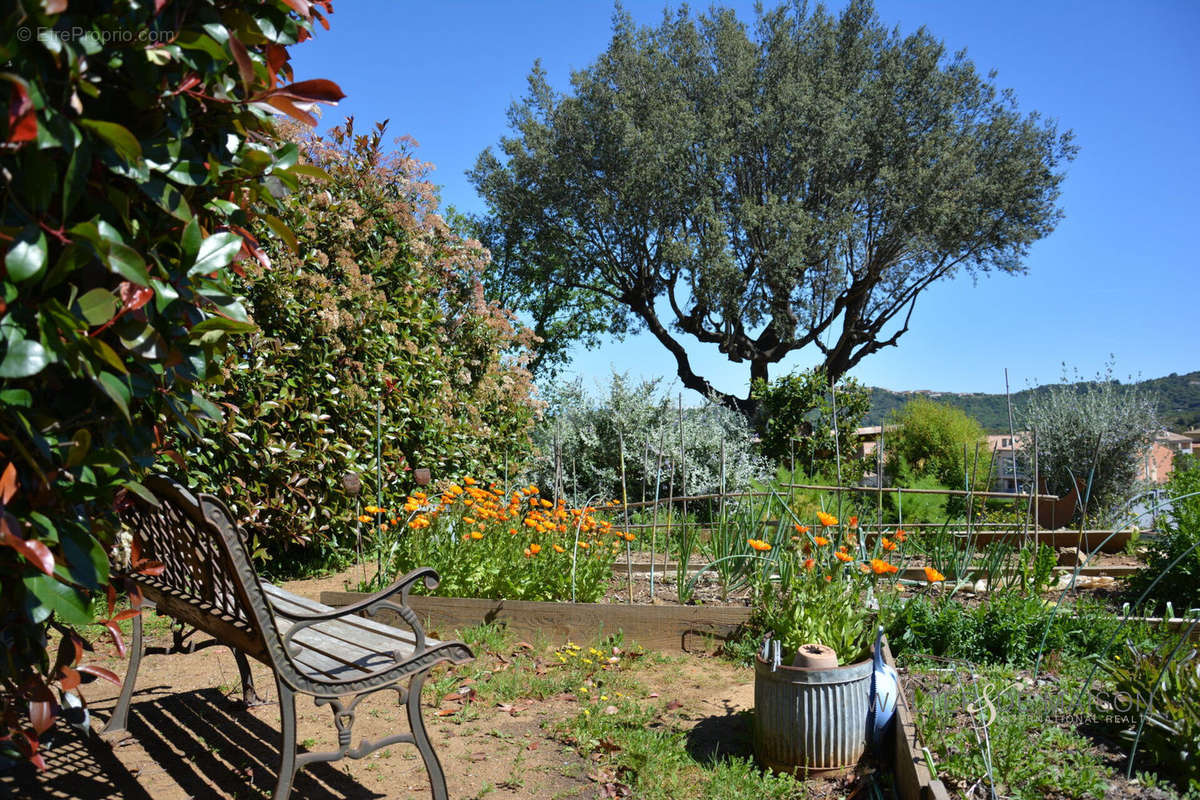 Maison à LA CROIX-VALMER