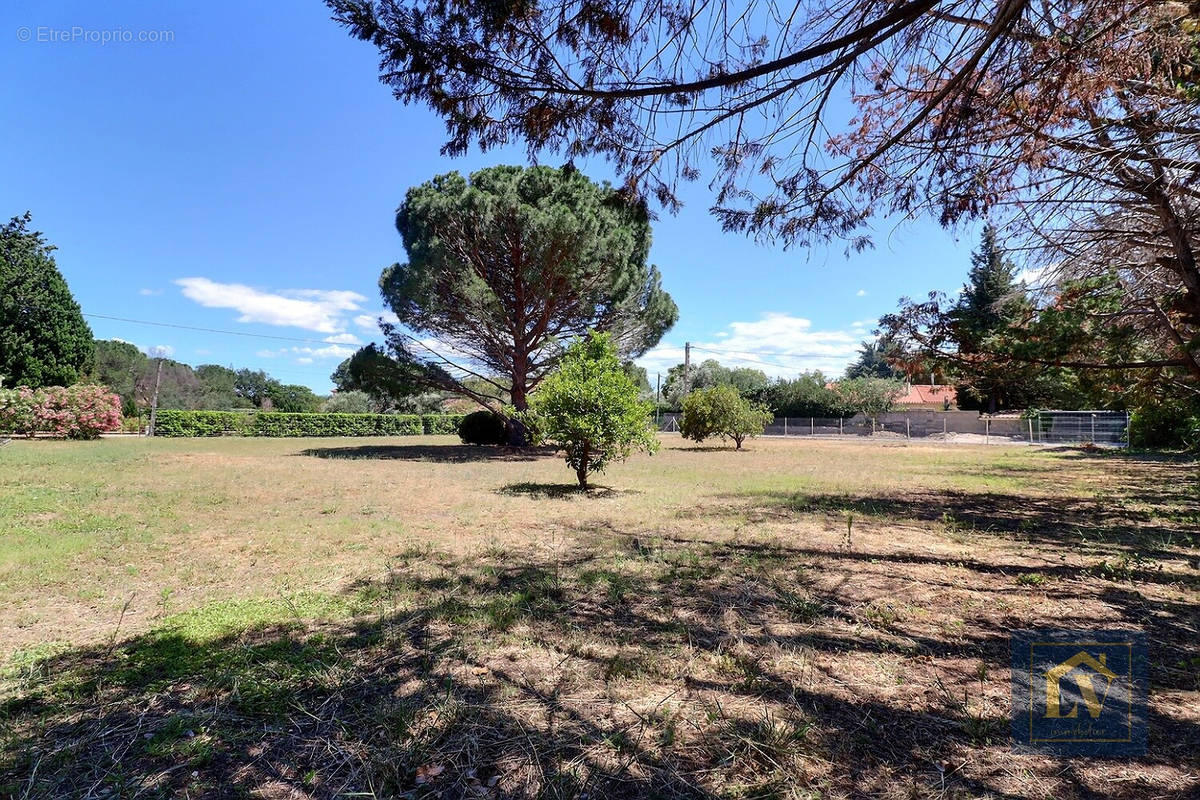 Terrain à LE SOLER