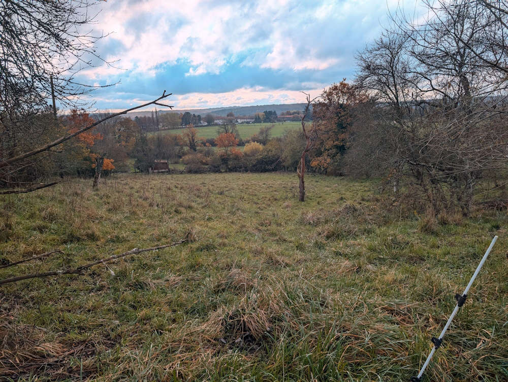 Terrain à MIRECOURT