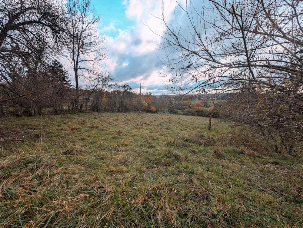 Terrain à MIRECOURT