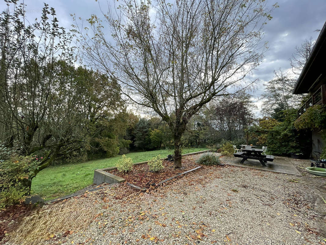 Maison à LOUHANS