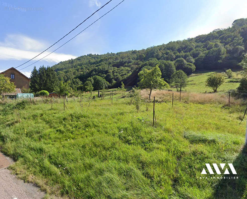 Terrain à LA BRESSE