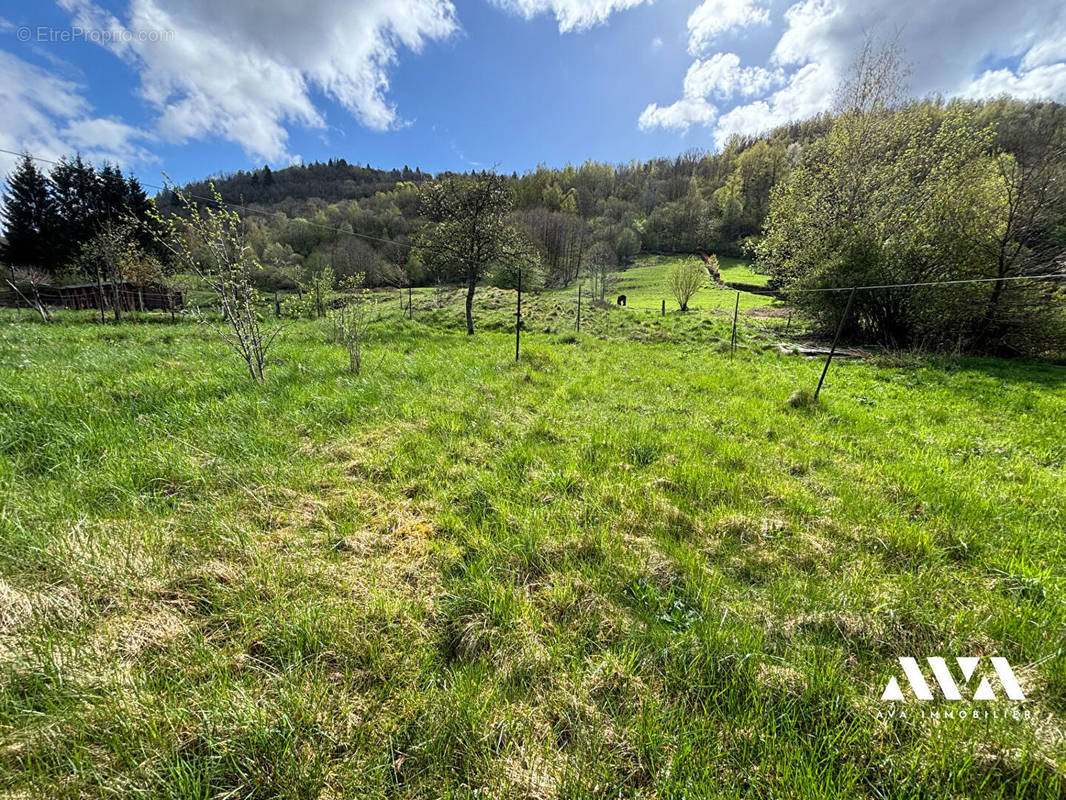 Terrain à LA BRESSE