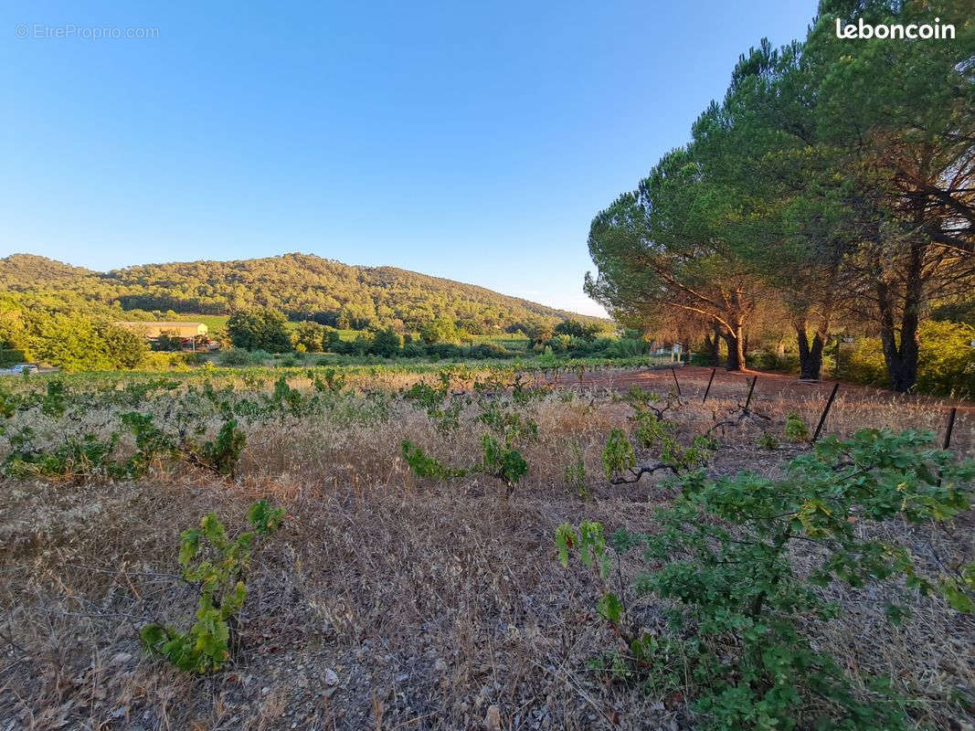 Terrain à PIERREFEU-DU-VAR