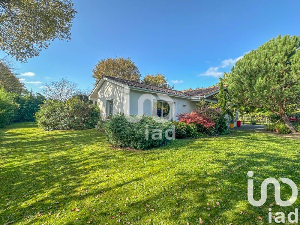 Photo 1 - Maison à CASTELNAU-DE-MEDOC