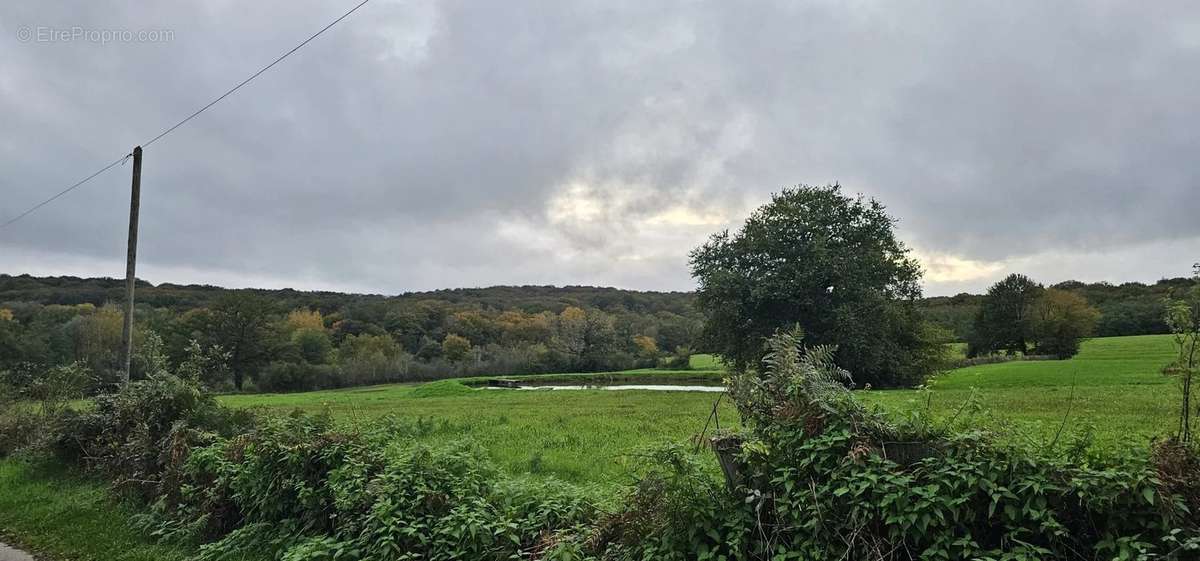 Terrain à ROUY