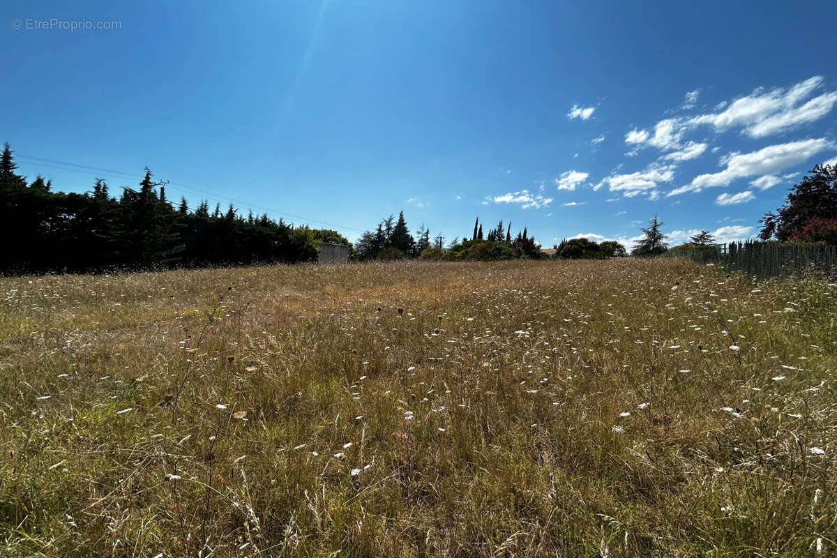 Terrain à SAINT-LAURENT-LA-VERNEDE