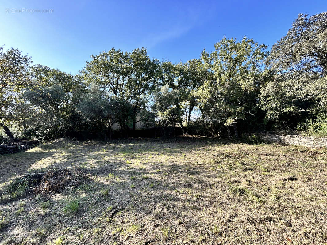 Terrain à UZES