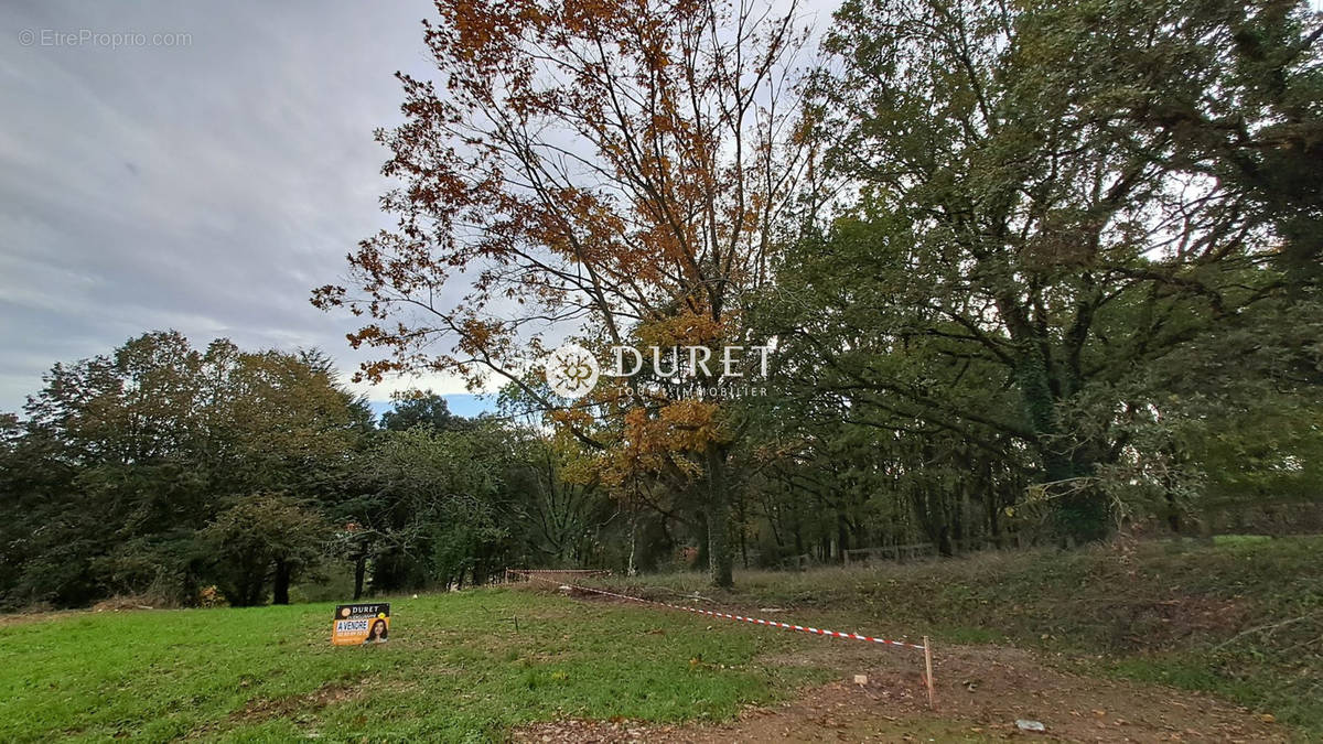 Terrain à LE POIRE-SUR-VIE