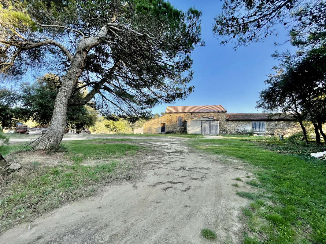 Maison à VAISON-LA-ROMAINE