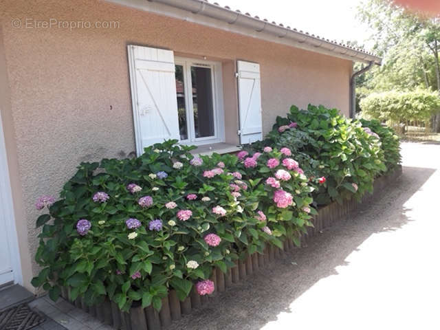 Maison à SAINT-BERNARD