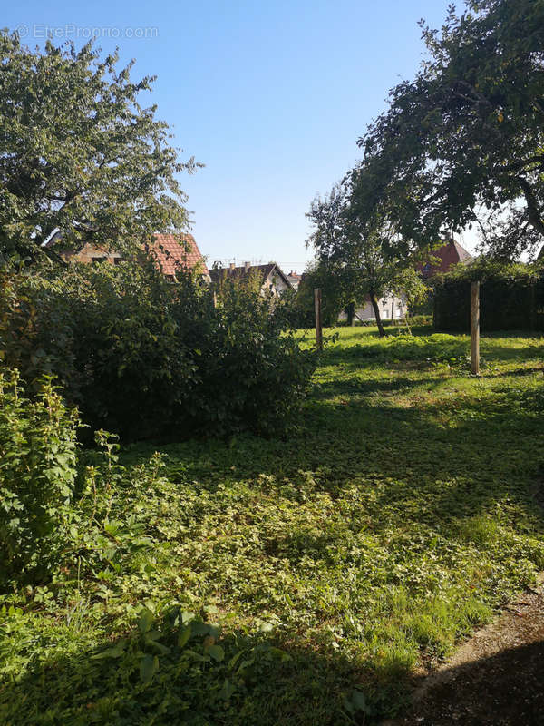 Terrain à SURBOURG