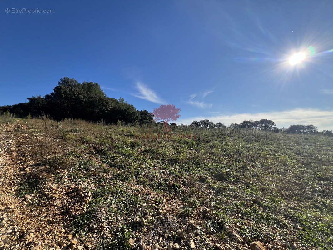 Terrain à MONTPEYROUX