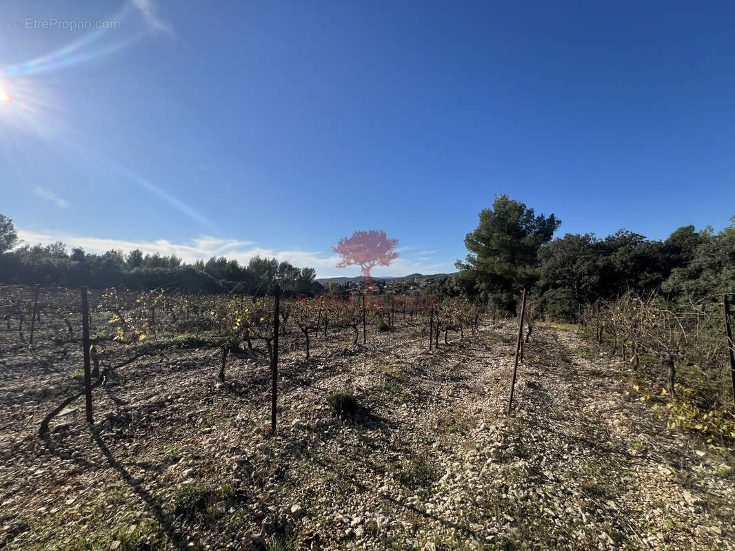 Terrain à MONTPEYROUX