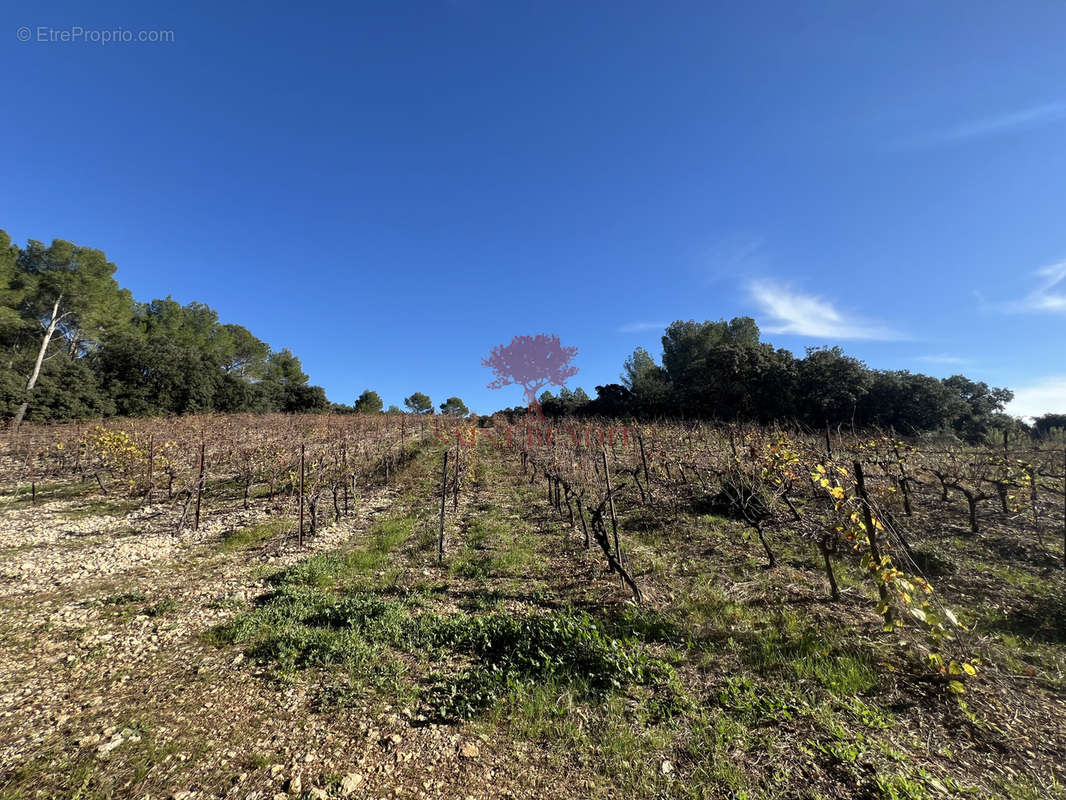 Terrain à MONTPEYROUX