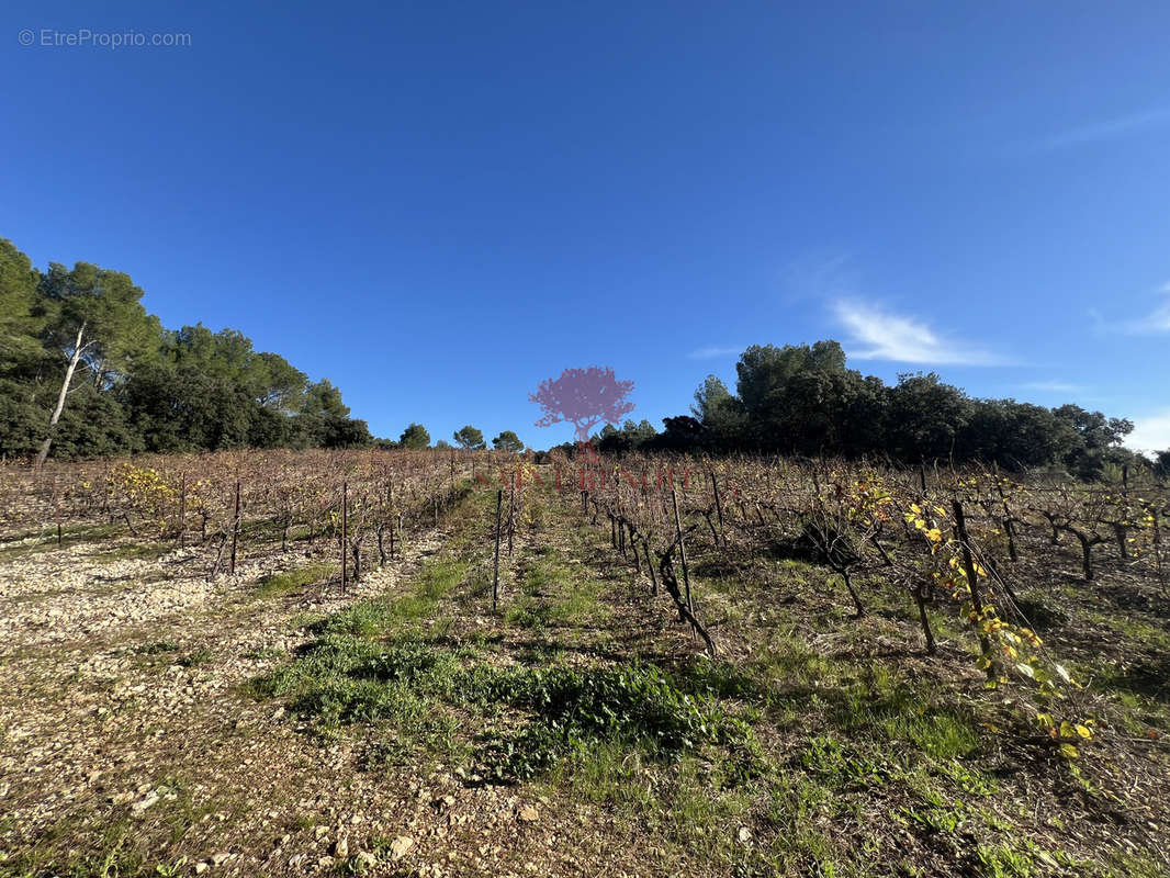 Terrain à MONTPEYROUX