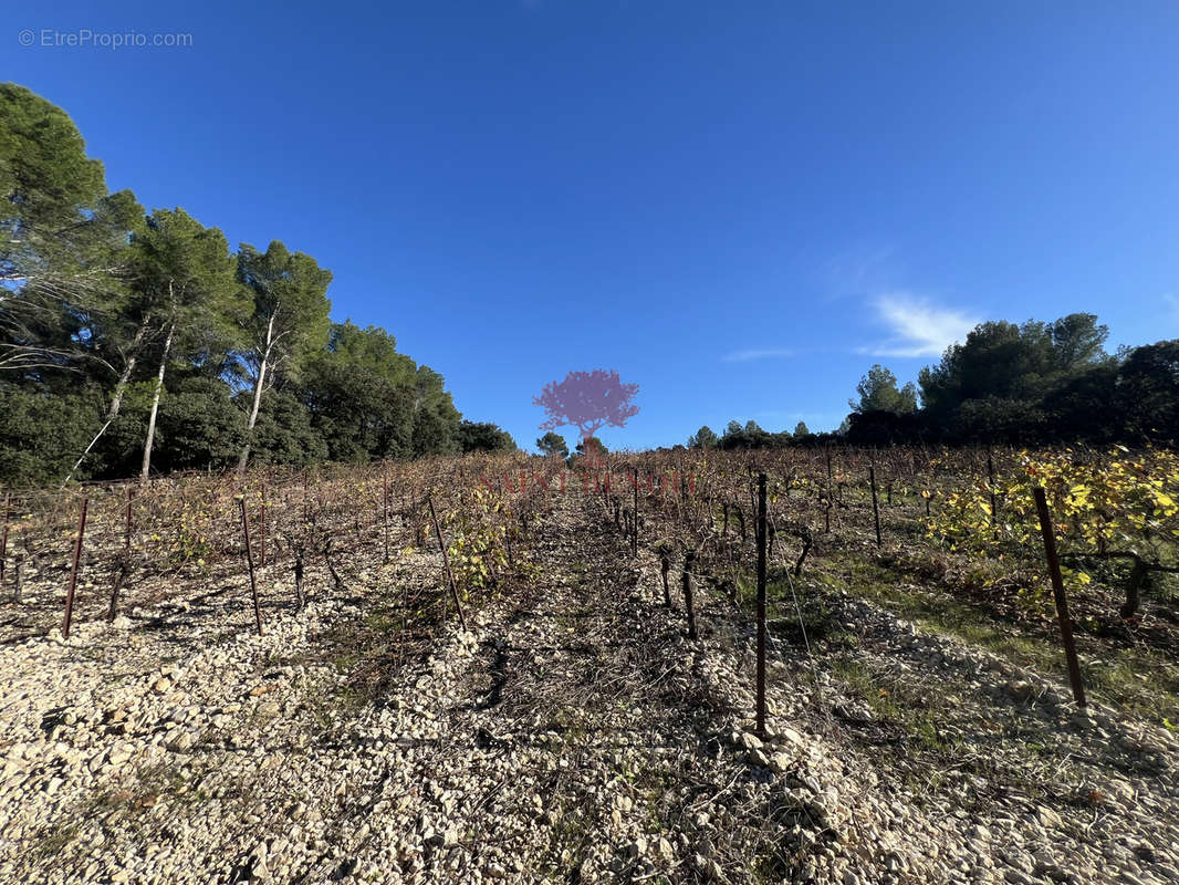 Terrain à MONTPEYROUX