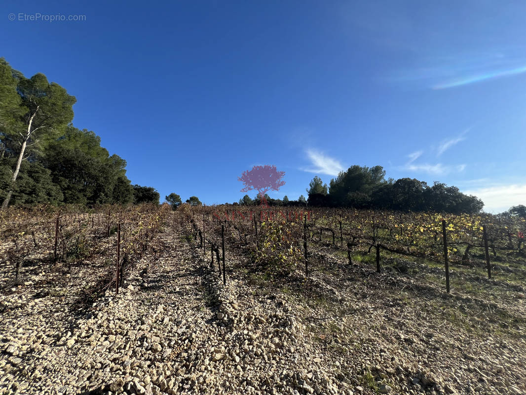 Terrain à MONTPEYROUX