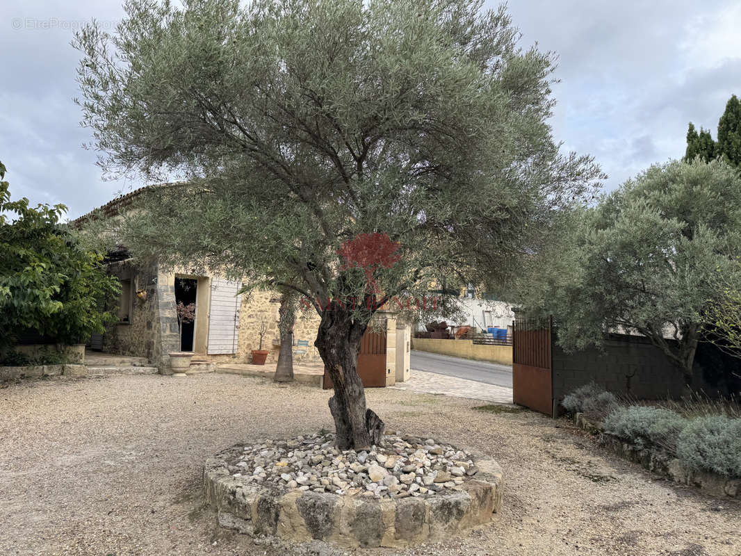 Maison à LE POUGET