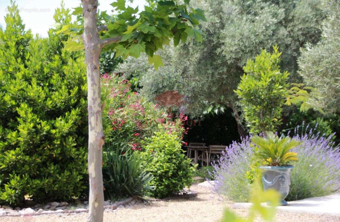 Maison à LE POUGET