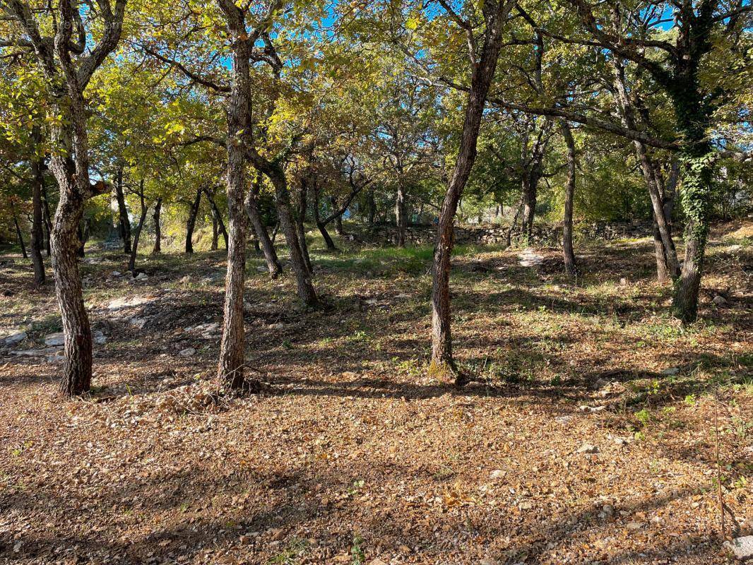 Terrain à FORCALQUIER