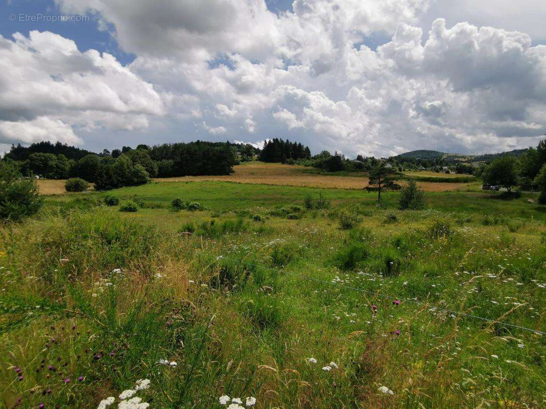 Terrain à MAZET-SAINT-VOY