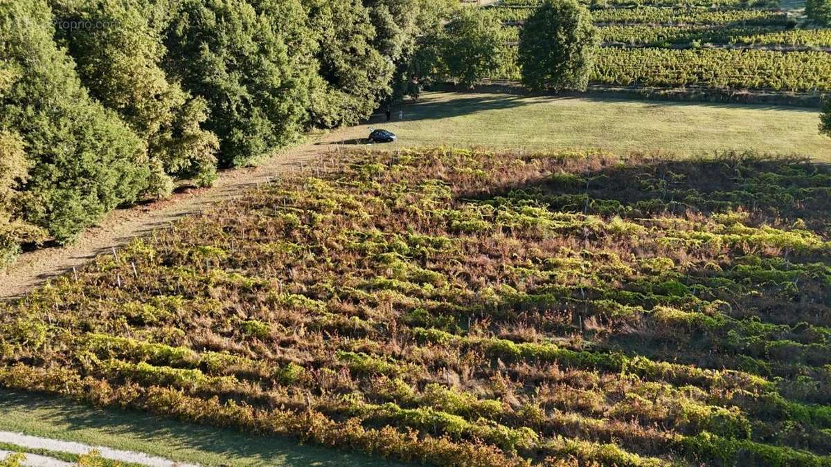 Terrain à CAILLAC