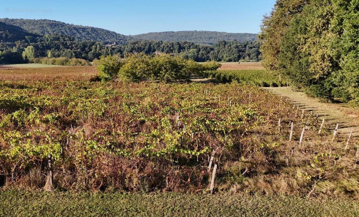 Terrain à CAILLAC