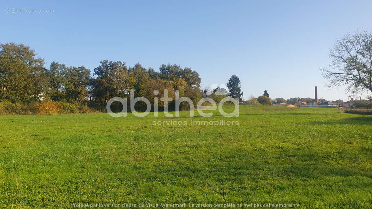 Terrain à ROUMAZIERES-LOUBERT