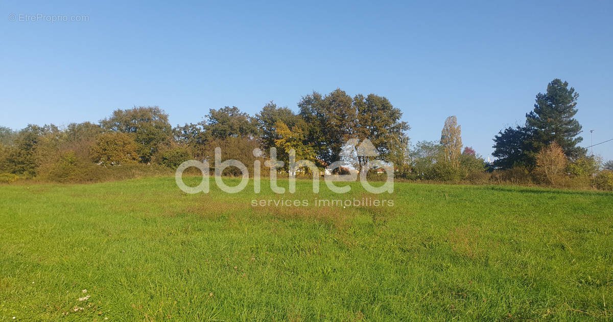 Terrain à ROUMAZIERES-LOUBERT