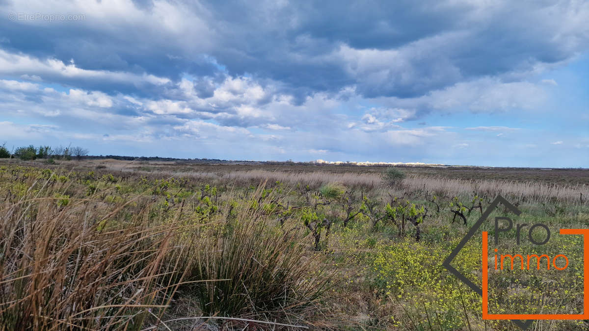 Terrain à CANET-EN-ROUSSILLON