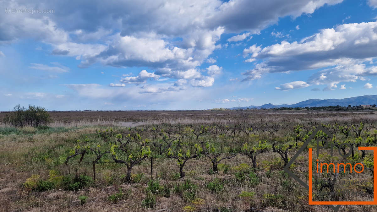 Terrain à CANET-EN-ROUSSILLON