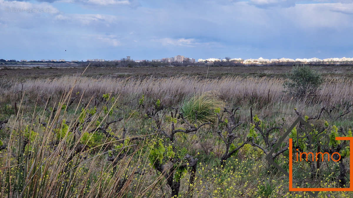 Terrain à CANET-EN-ROUSSILLON