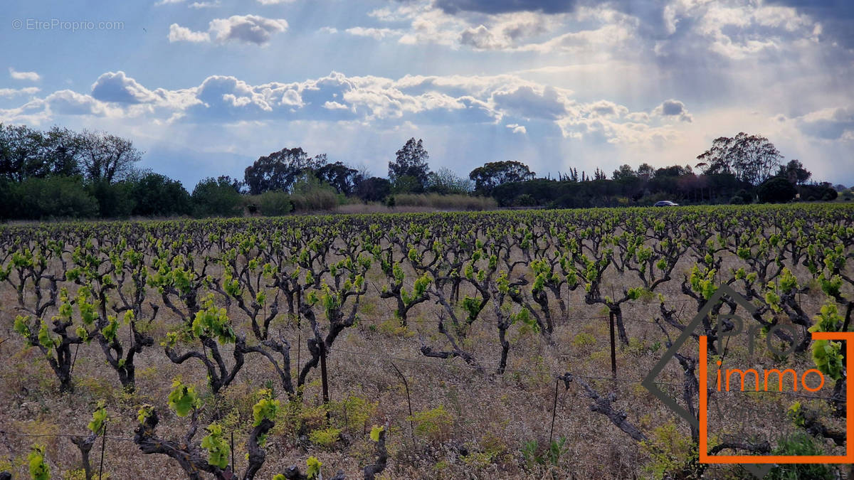 Terrain à CANET-EN-ROUSSILLON