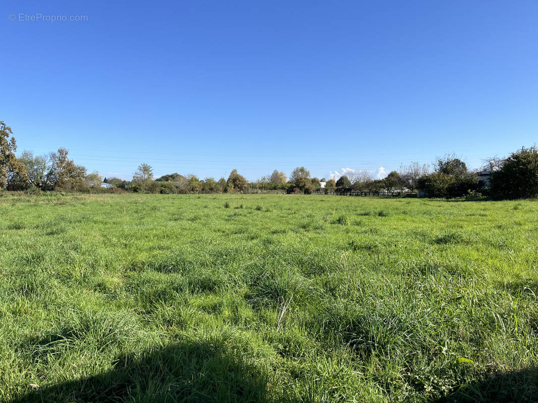 Terrain à BORDERES-SUR-L&#039;ECHEZ