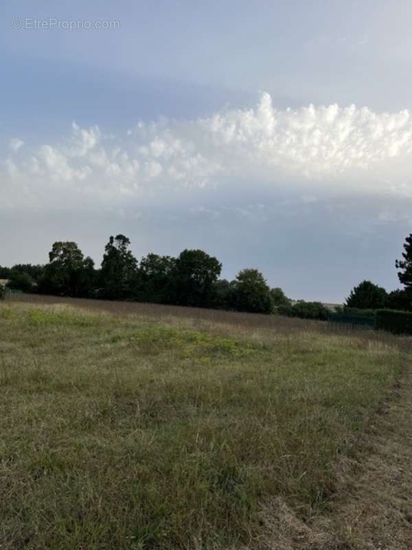 Terrain à SAINT-JEAN-D&#039;ANGELY