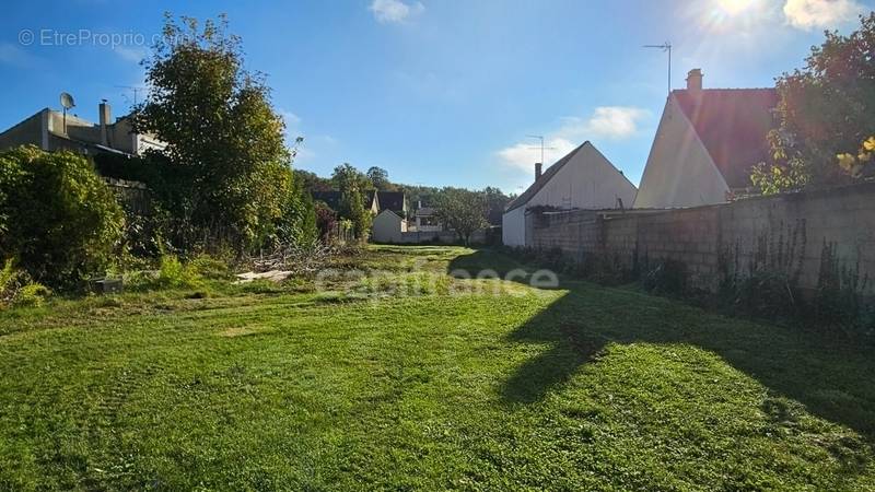 Terrain à MORIGNY-CHAMPIGNY