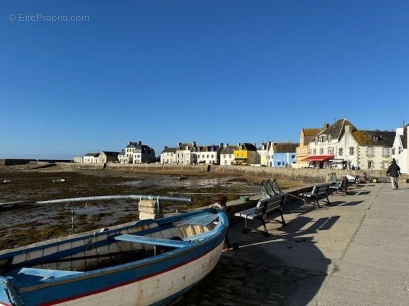 Commerce à ILE-DE-SEIN