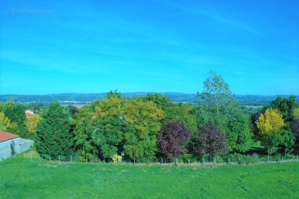 Terrain à BALBIGNY