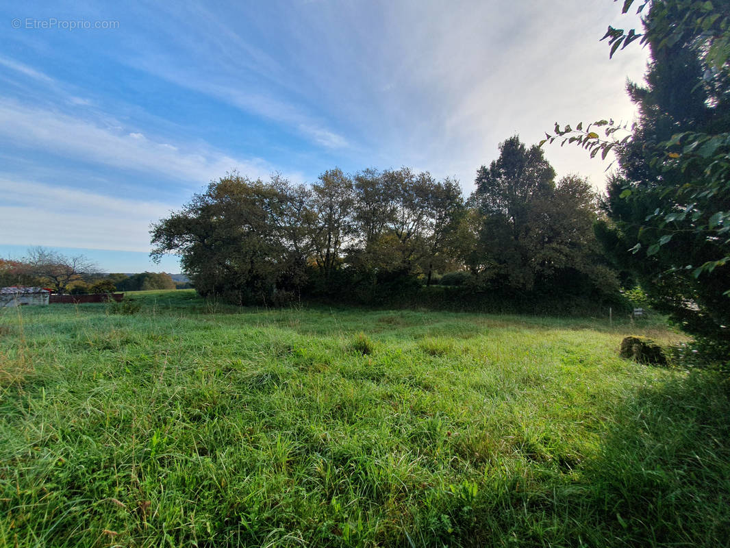 Terrain à HAGETMAU