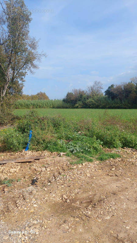 Terrain à SAINT-MARTIN-DE-CRAU