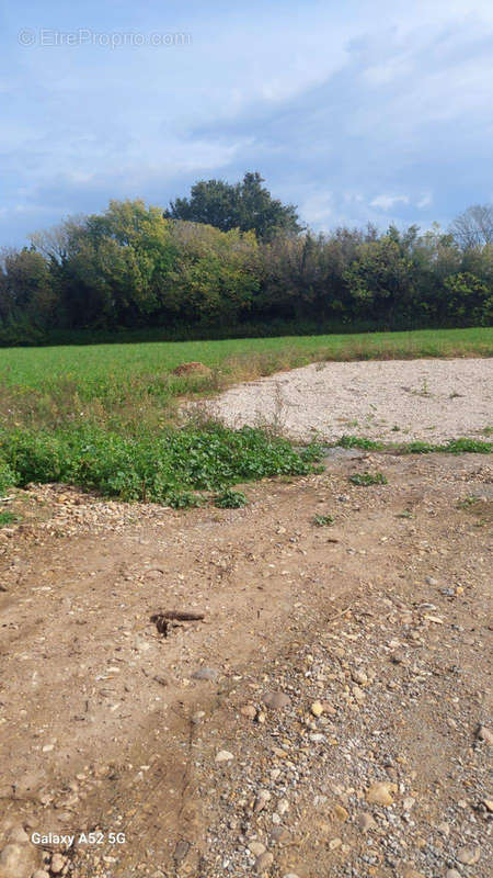 Terrain à SAINT-MARTIN-DE-CRAU