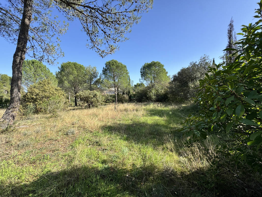 Terrain à MONTFERRIER-SUR-LEZ