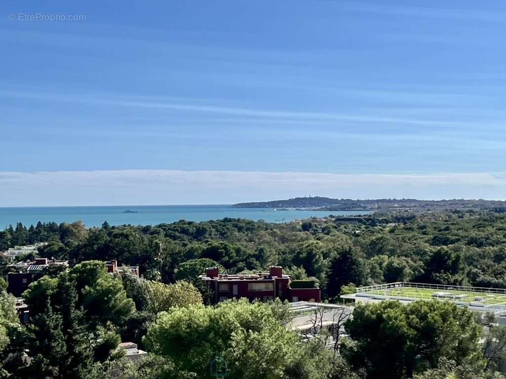 Appartement à VILLENEUVE-LOUBET