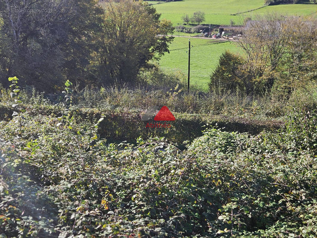 Terrain à CESSEY