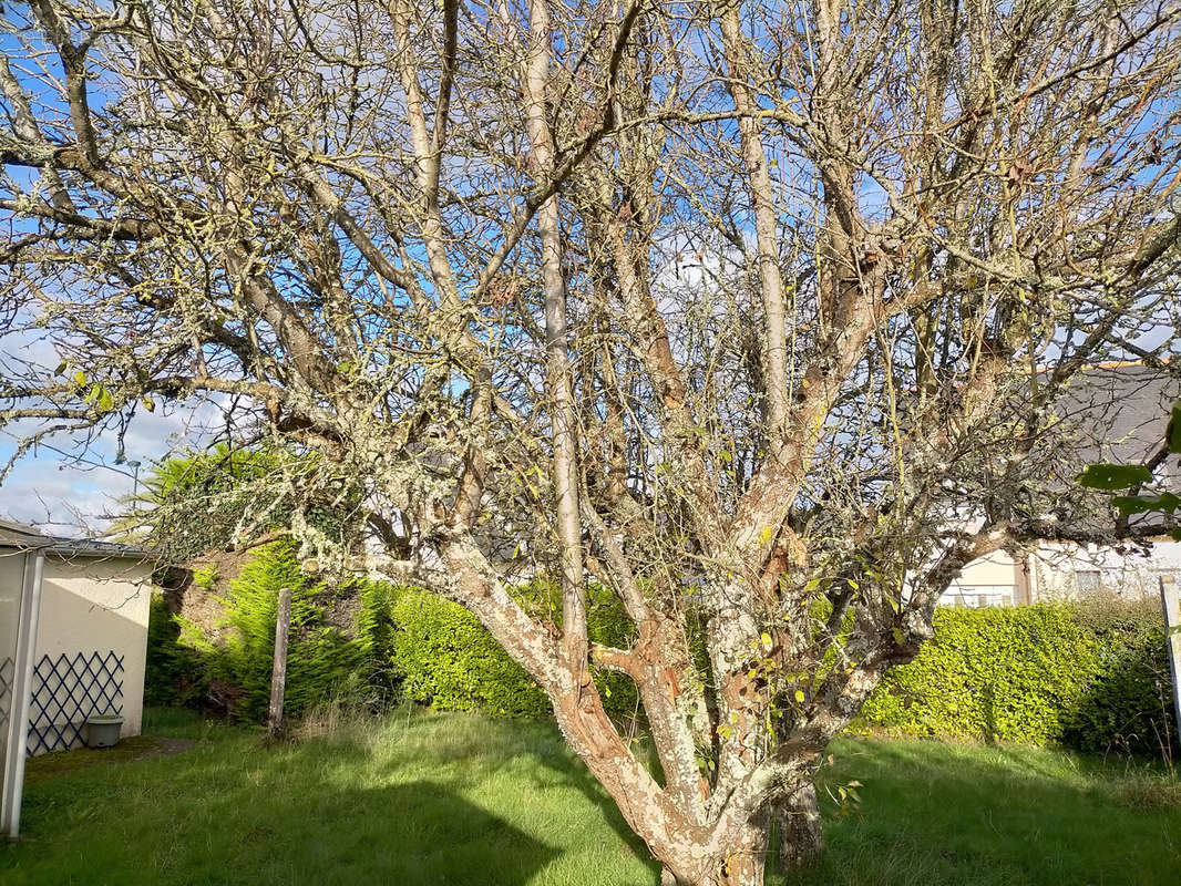 Maison à PLOUBALAY