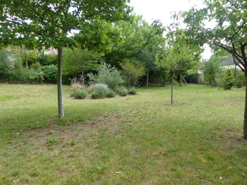 Très beau terrain constructible d&#039;une surface de 1 118 m² - Terrain à PRESLES-ET-THIERNY