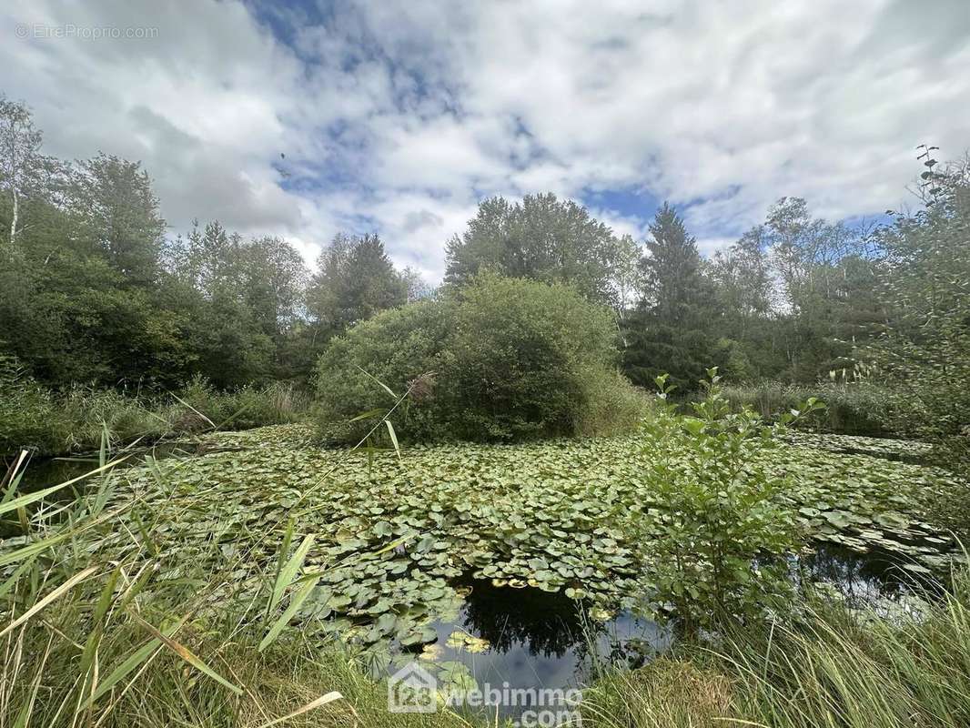 Avec une profondeur d&#039;environ 2 métres - Terrain à MERLIEUX-ET-FOUQUEROLLES