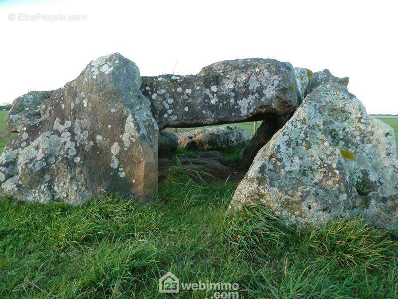 Sa campagne et ses dolmens. - Terrain à SAINT-VINCENT-SUR-JARD